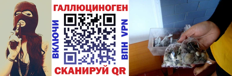 Псилоцибиновые грибы прущие грибы  Купить где  Жигулёвск 