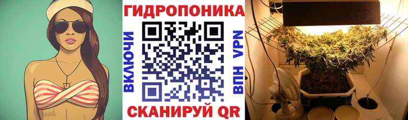 Шишки марихуана Bruce Banner  Купить  Жигулёвск 
